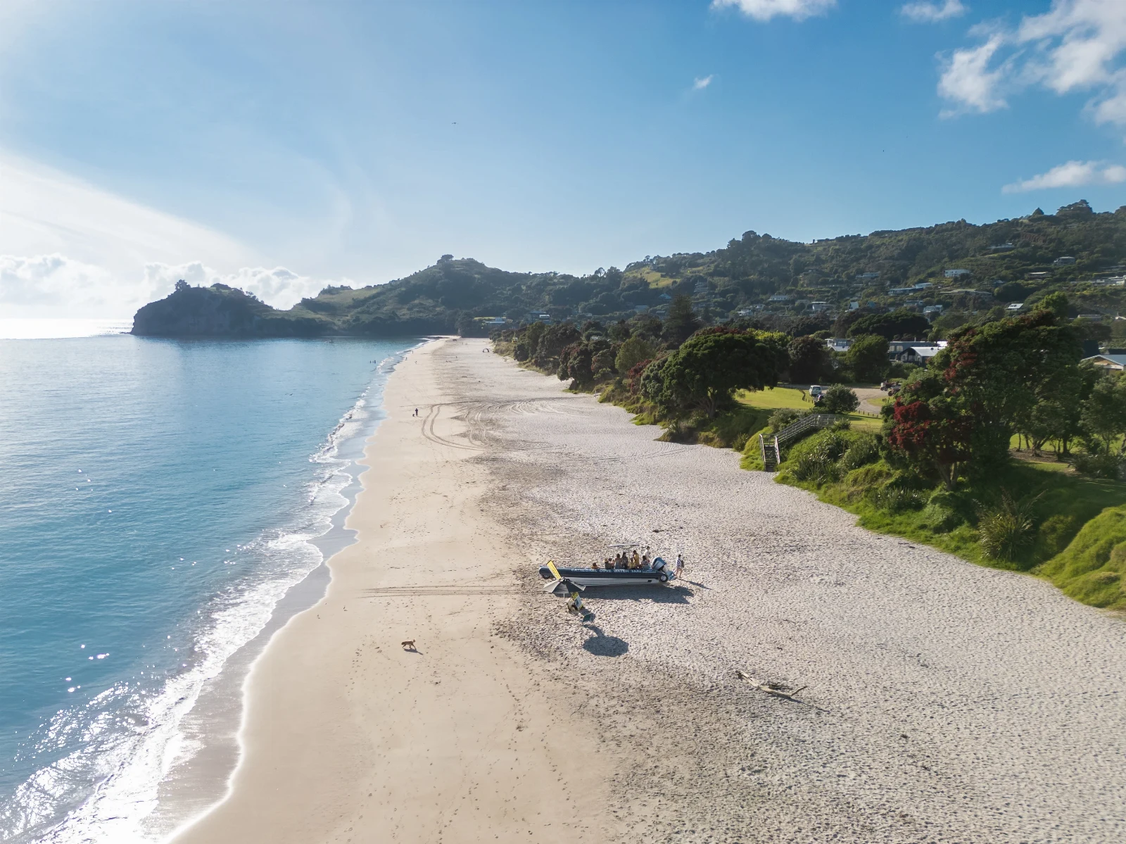 Aerial view along Hahei Beach